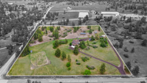 Real Estate Listing photo with property outline with color splash effect
